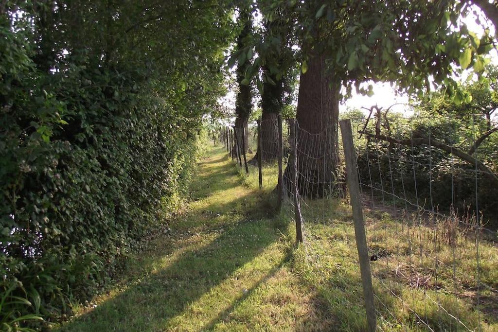 Au Pied Du Frene Villa Herzeele Exteriör bild
