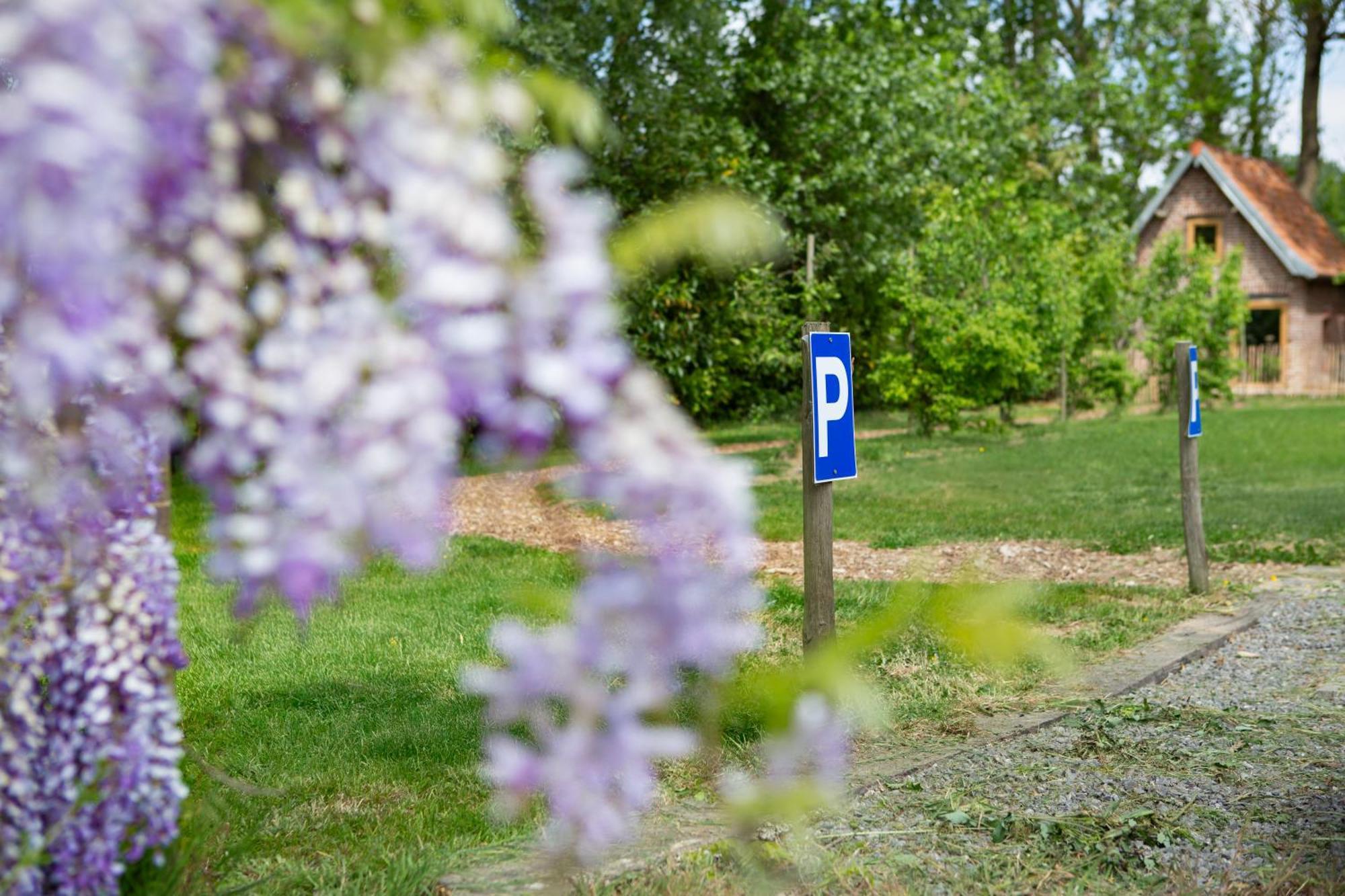Au Pied Du Frene Villa Herzeele Exteriör bild